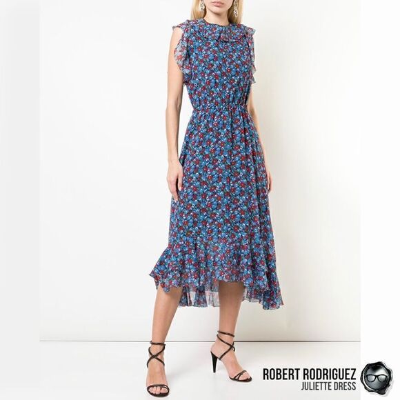 ROBERT RODRIGUEZ JULIETTE MIDI DRESS IN GARDENIA BLUE FLORAL COTTON/SILK SIZE 4 - Picture 1 of 15
